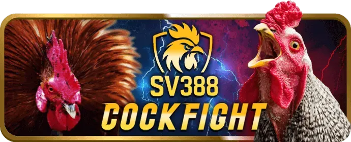 Giao diện cá cược thể thao trực tiếp tại Kufun Game